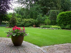 tuin-kardol-1jpg