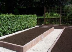 moestuin-1jpg